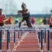 Saline's Quenne' Dale during the girls hurdles event at the Golden Triangle boys and girls track meet at Saline High School Friday, May 3.
Courtney Sacco I AnnArbor.com